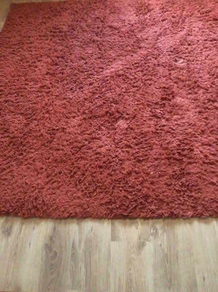 Photo of free Large rug (Stanley PH1) #1
