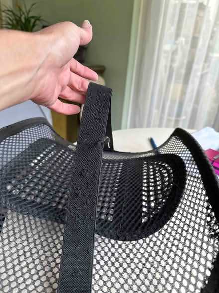 Photo of free Back support (ME17 Boughton monchelsea) #3