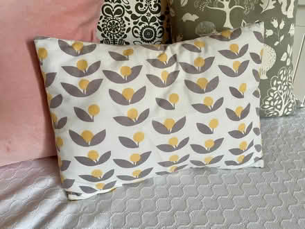 Photo of free Small cushion 20x30cm approx (West Bridgford NG2) #1