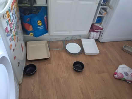 Photo of free Dishes bowls (Horley RH6) #1