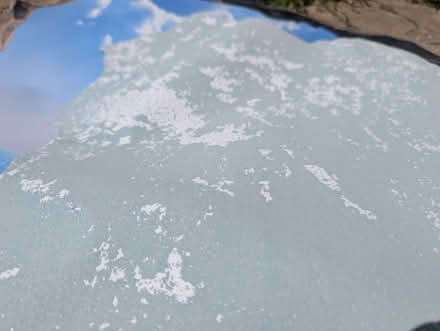 Photo of free Dolphin wall sticker (Staveley LA8) #2