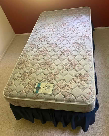 Photo of free 3 Single Beds (3 m S of Conway) #3
