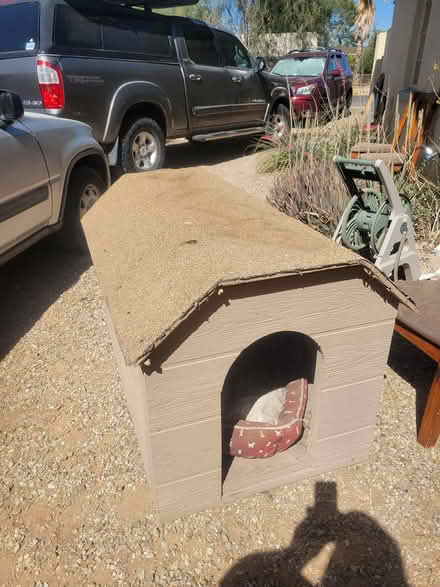Photo of free Dog House, Big Dog House (speedway & alvernon) #1