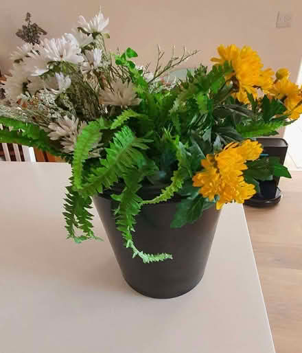 Photo of free Artificial plants (Bolton le Sands LA5) #1