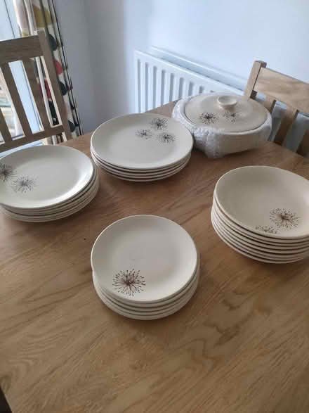 Photo of free Dinner Service (Cypress Point FY8) #1