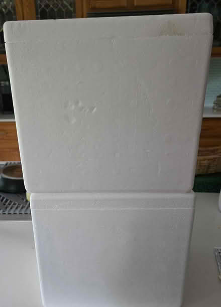 Photo of free Two Styrofoam boxes (Poughkeepsie/Hyde Park) #1