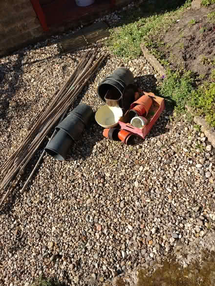 Photo of free Garden pots & bean sticks (Alresford CO7) #3