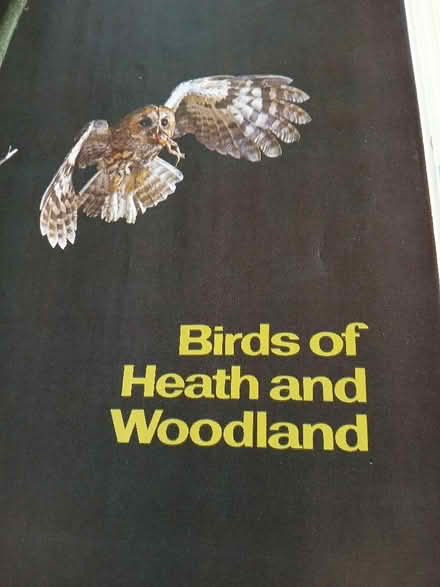 Photo of free Bird book (Heywood OL10) #1