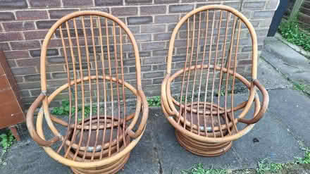 Photo of free Outdoor lounge chairs (Ware SG12) #1