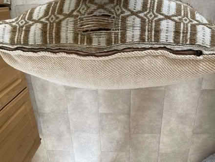Photo of free Floor cushion (Pooley Green TW20) #3