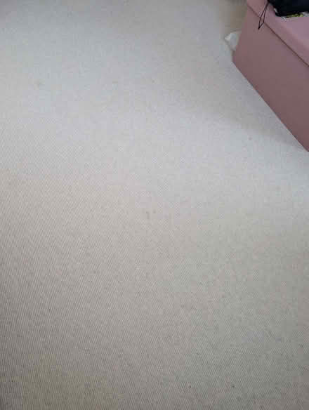 Photo of free Carpet (N16) #4