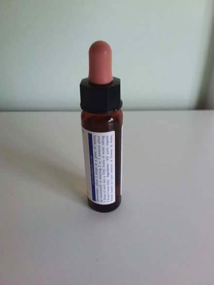 Photo of free Wild Rose flower essence past its best before of 10/2020 (Westbury Fields BS9) #3