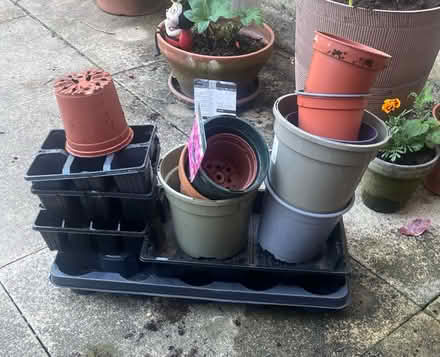Photo of free Lots of plant pots in plastic (PR5 Bamber bridge) #1