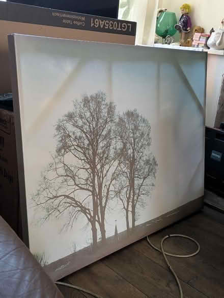 Photo of free Very large canvas picture (Freehold LA1) #1