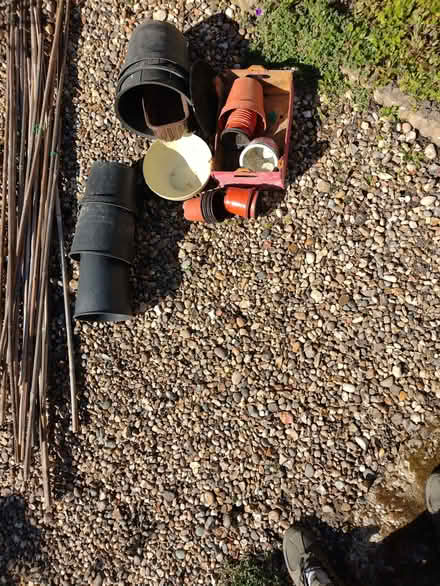 Photo of free Garden pots & bean sticks (Alresford CO7) #2