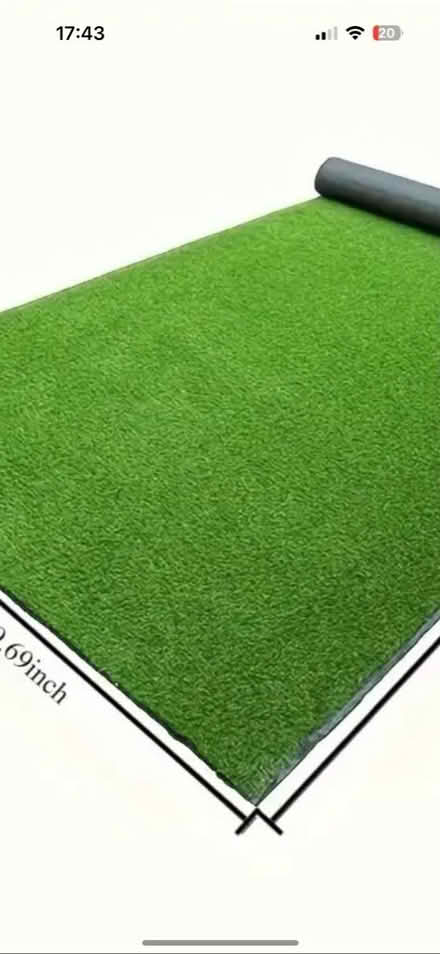 Photo of Capers grass (Addiscombe CR0) #1