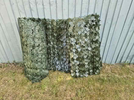 Photo of free Fake ivy fence/ privacy screen (Stamford PE9) #1