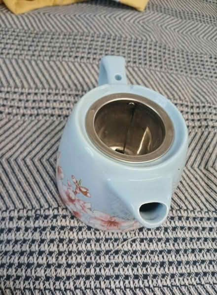 Photo of free Tea Maker (Chesapeake Beach Maryland) #1