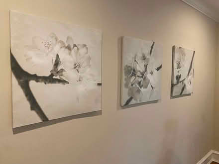 Photo of free 3 botanical prints on canvas (Ardmore) #1