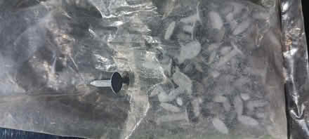 Photo of free Roofing felt nails (Wigton CA7) #1