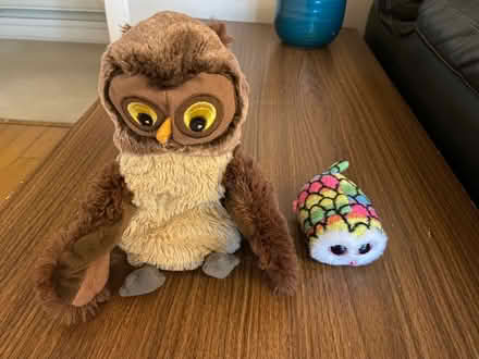 Photo of free Having an Owl time? Kids toy (Slateford EH14) #1