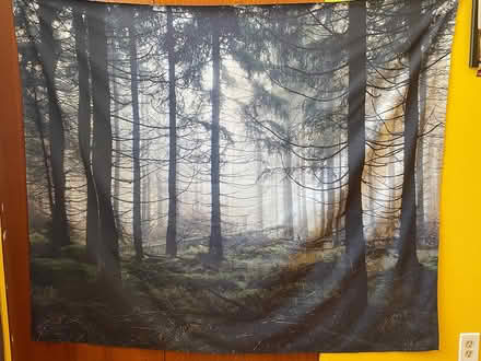 Photo of free Decorative fabric for wall (Conroy Rd & Walkley Rd) #1