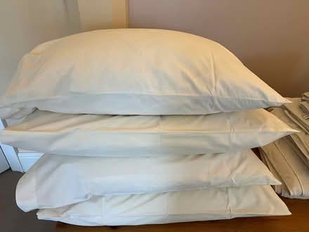 Photo of free 4 pillows (Garvestone NR9) #2