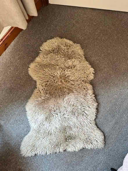 Photo of free Sheepskin Rug (So19 9ah) #2