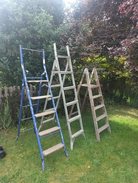 Photo of free Old ladders. (Wickham Bishops CM8) #1