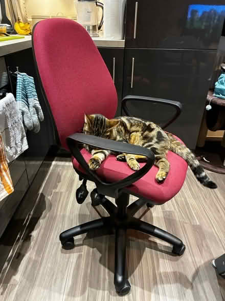 Photo of free Office chair (Wandle Park) #2