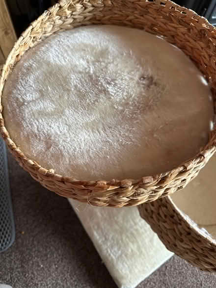 Photo of free Cat bed with scratching post (Ashford TW15) #3