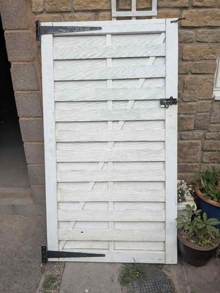 Photo of free Garden Gate + Side Panel (Frome) #2