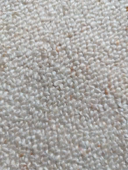 Photo of free 100% wool loop pile carpet 2.4m x 2.9m (Saltney CH4) #2