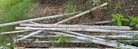 Photo of free 2x2 treated lumber (W Cary near Green Hope High) #1