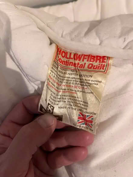 Photo of free Very old double duvet 12 tog for use as dog blanket (Kingston Gate KT2) #1