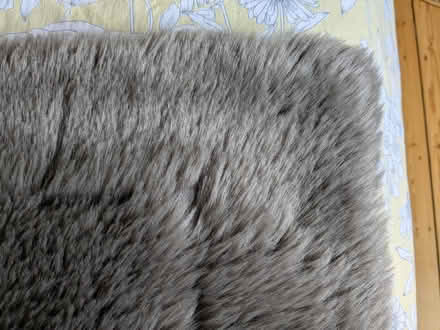 Photo of free Fake fur throw (Woodstock OX20) #2