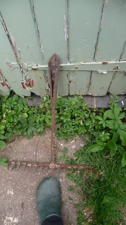 Photo of free Large garden rake (Aylestone LE2) #1