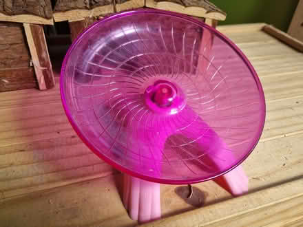 Photo of free Hamster accessories (Huyton L36) #3