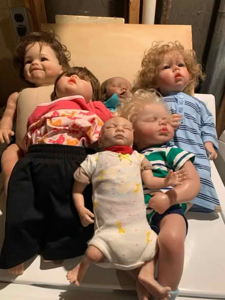 Photo of free Dolls (North Cleveland Park) #1