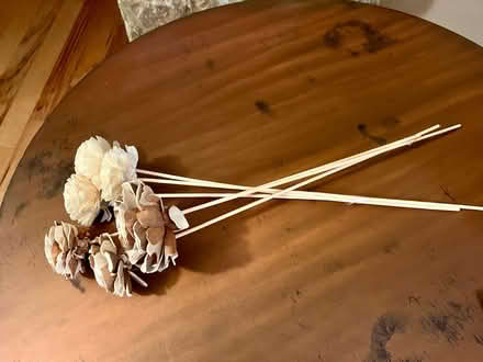 Photo of free Cute wood flowers (Vienna community center) #2