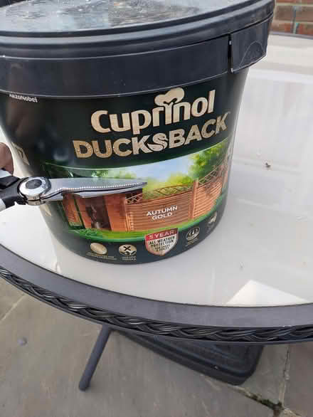Photo of free Fence/shed paint (Nr chichester west sussex) #2