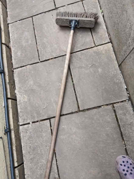 Photo of free Brush (Bear Flat) #1