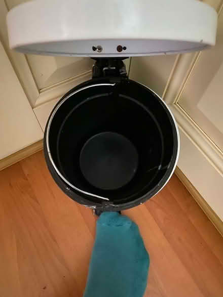 Photo of free Small pedal bin (Whinfield DL1) #2