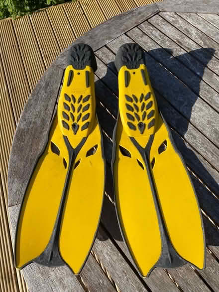 Photo of free Swimfins (AB21) #2