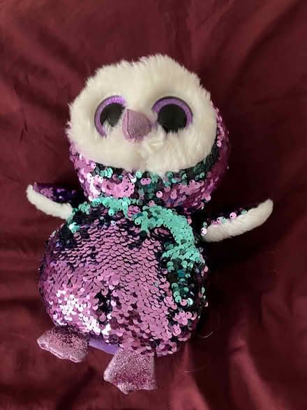 Photo of free Stuffed animals (North chichester) #3