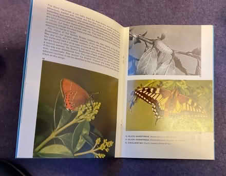 Photo of free Butterflies booklet (AB15) #2