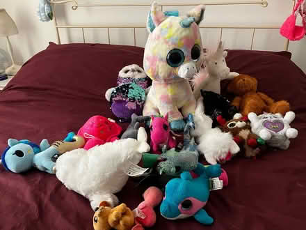 Photo of free Stuffed animals (North chichester) #2