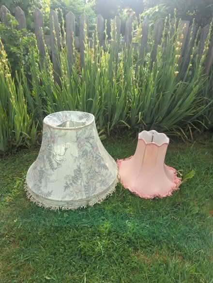 Photo of free Lamp shades (Wickham Bishops CM8) #1