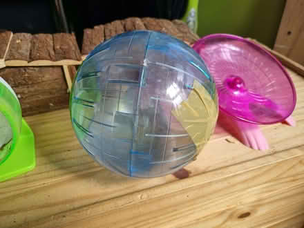 Photo of free Hamster accessories (Huyton L36) #4