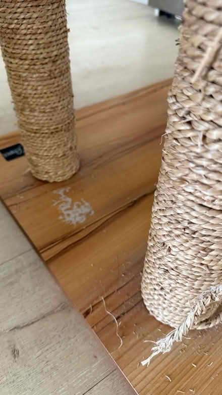 Photo of free Used Vesper cat tree (soma) #3